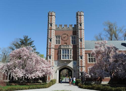 The Chapel at Trinity College with Pink Blooming Trees